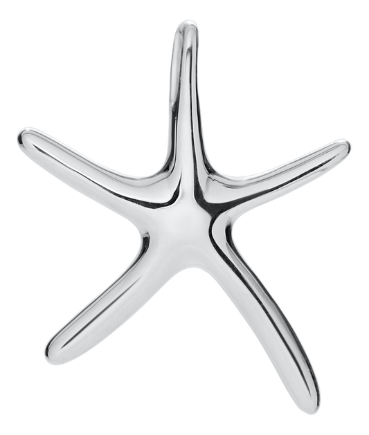 Starfish Pendant