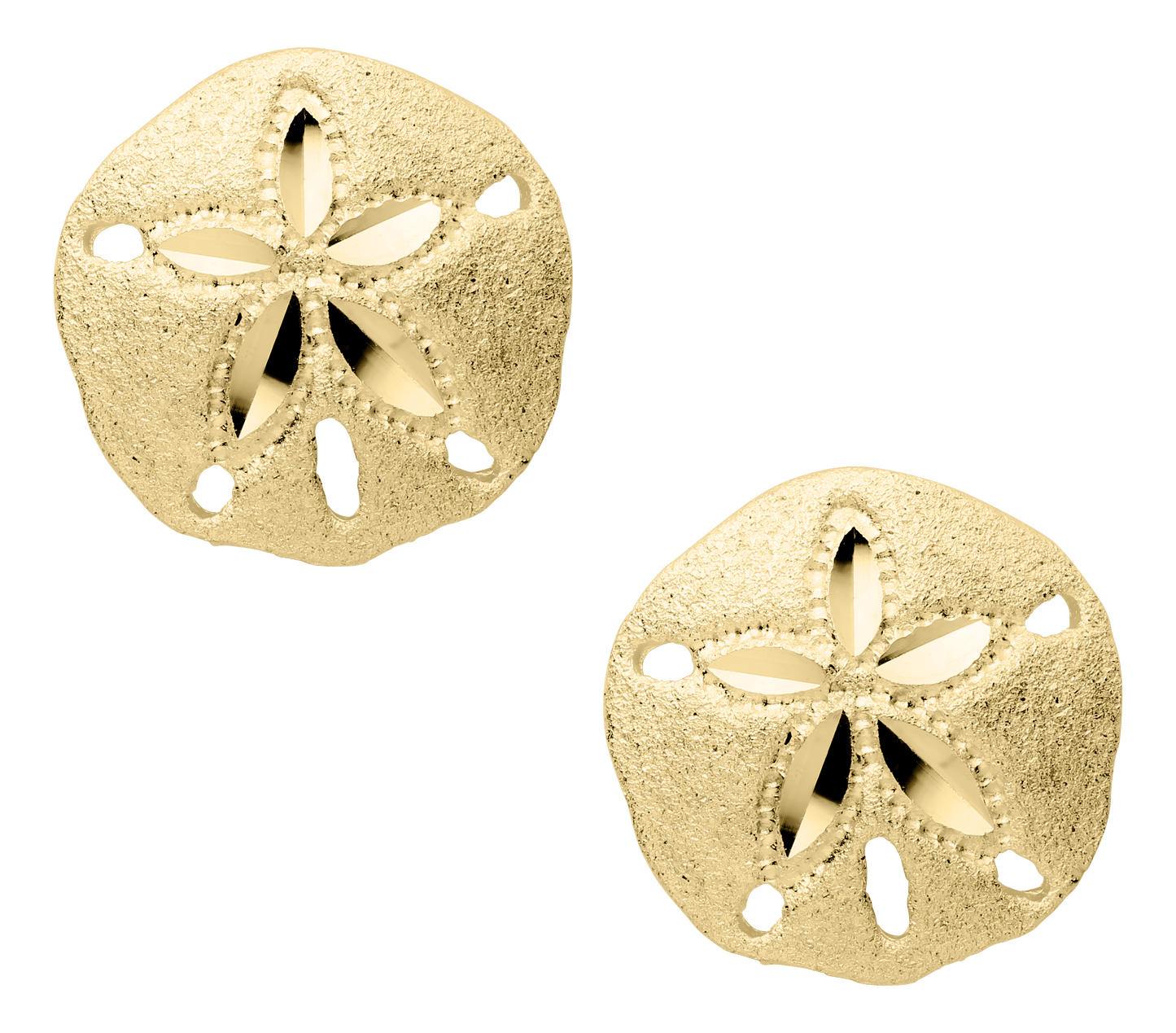 Sand Dollar Stud Earrings